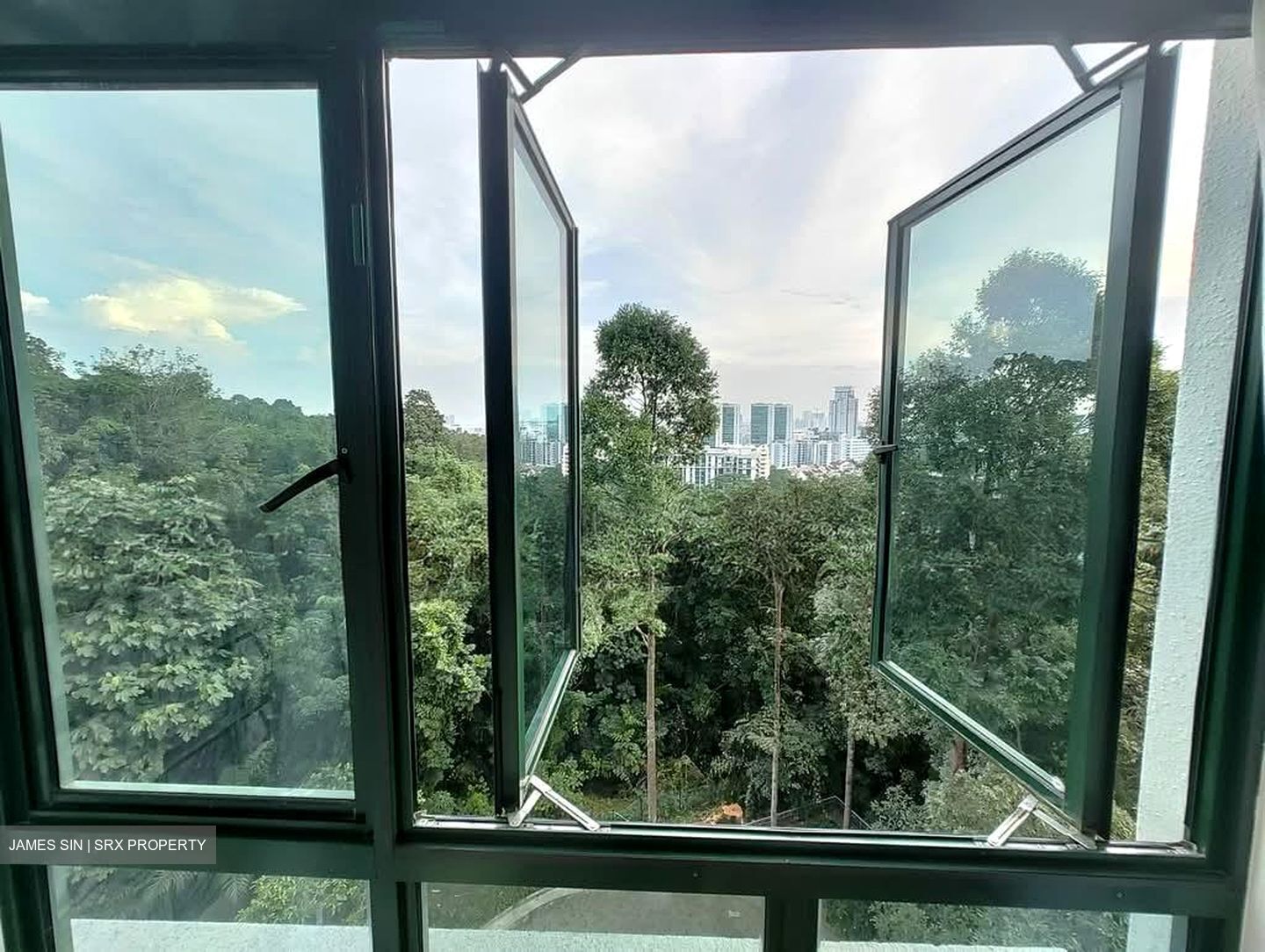 Parc Palais (D21), Condominium #573185481